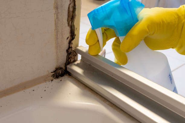 Best Mold Removal Company Near Me  in Garland, NC