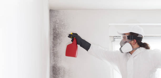 Best Mold Testing  in Garland, NC