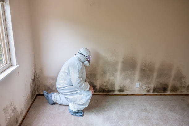 Best Mold Cleaning Services  in Garland, NC