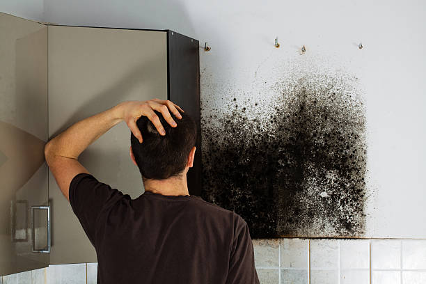 Best Mold Testing  in Garland, NC