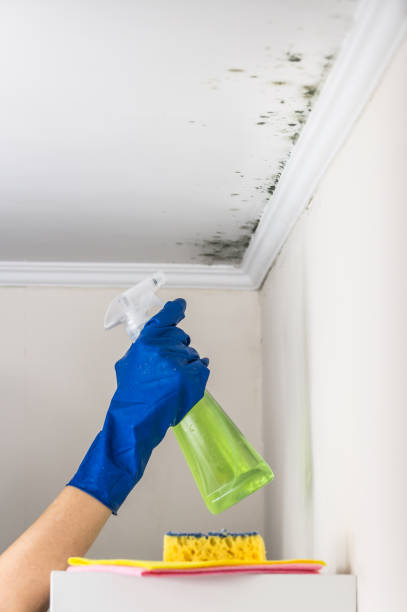 Water Damage Restoration in Garland, NC